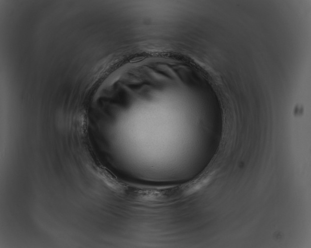 X0000089660288200707191655