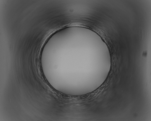 X0000089660289200707191655