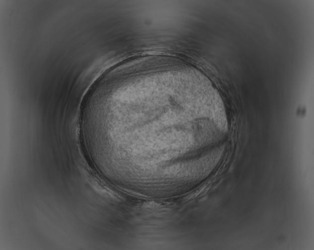 X0000089660290200707191655