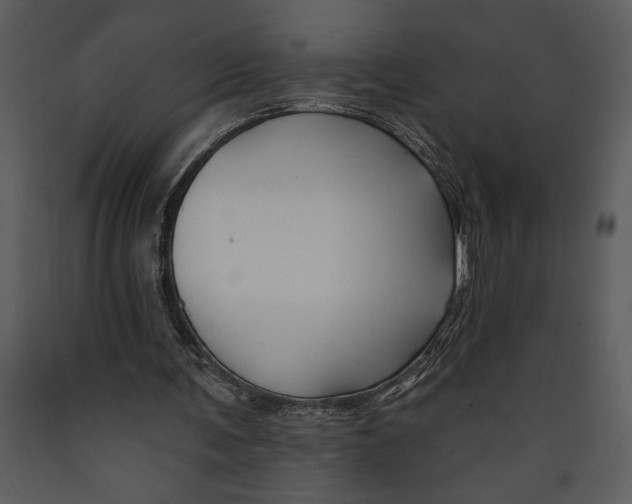 X0000089660291200707191655