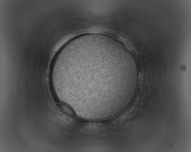 X0000089660292200707191655