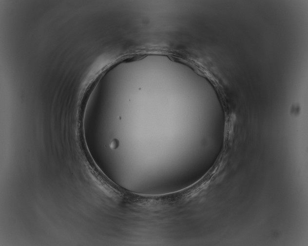 X0000089660293200707191655
