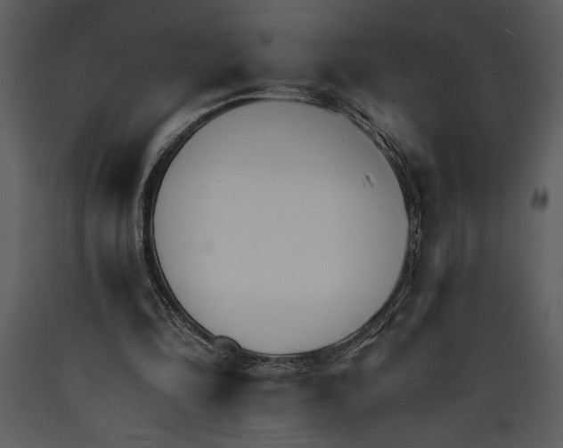 X0000089660294200707191655
