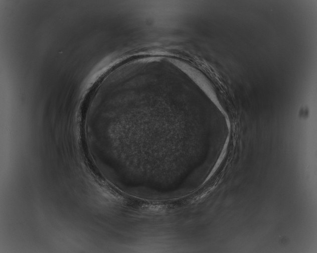 X0000089660295200707191655