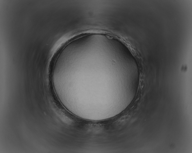 X0000089660296200707191655