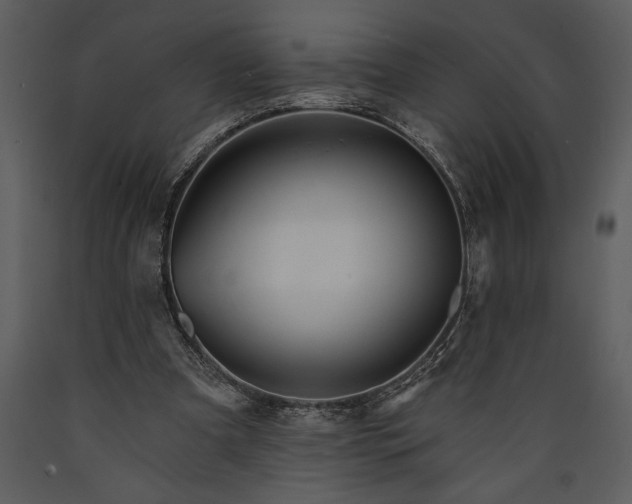 X0000089660297200707191655