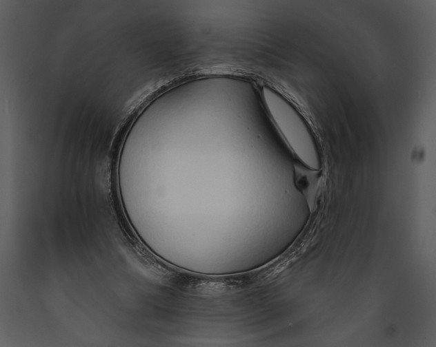 X0000089660298200707191655