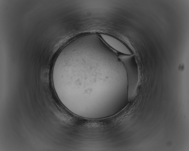 X0000089660299200707191655