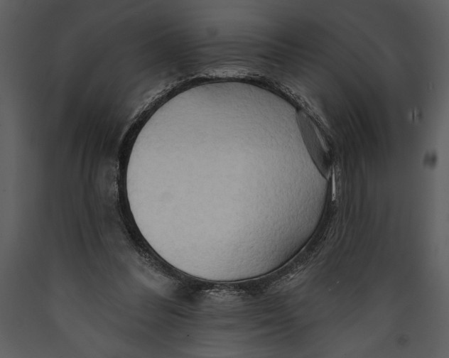 X0000089660300200707191655