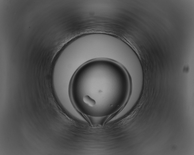 X0000089660301200707191655
