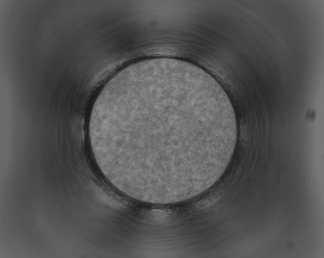 X0000089660302200707191654