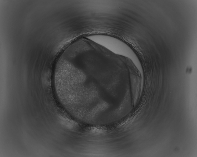 X0000089660303200707191654
