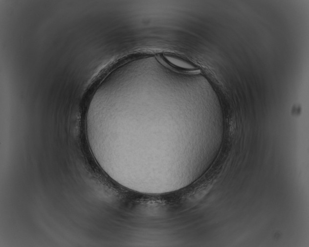 X0000089660304200707191654