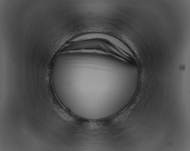 X0000089660305200707191654