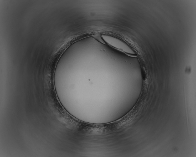 X0000089660306200707191654