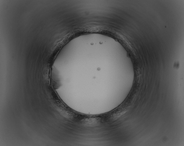 X0000089660307200707191654