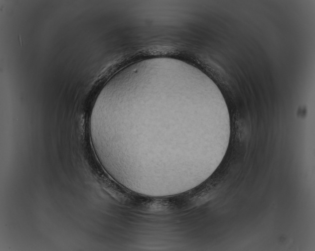 X0000089660308200707191654