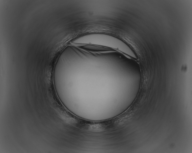 X0000089660309200707191654