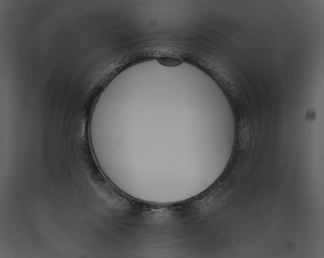 X0000089660310200707191654