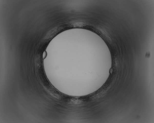 X0000089660311200707191654