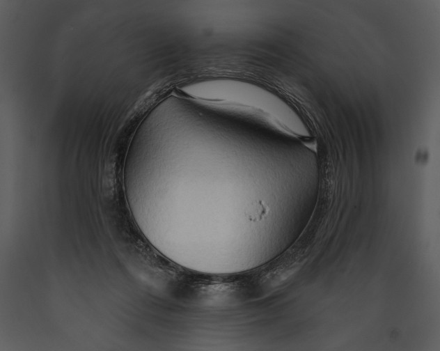 X0000089660312200707191654