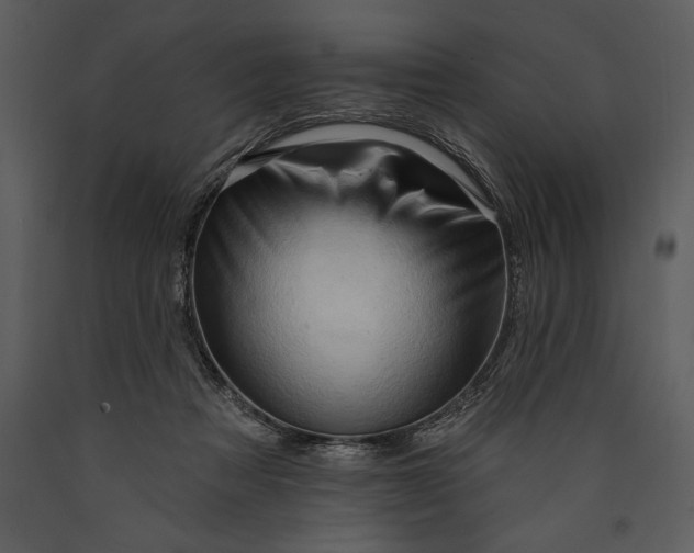 X0000089660313200707191654