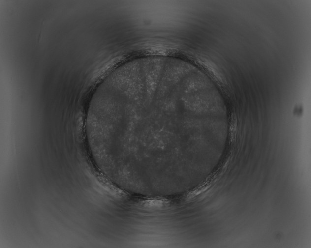 X0000089660314200707191654