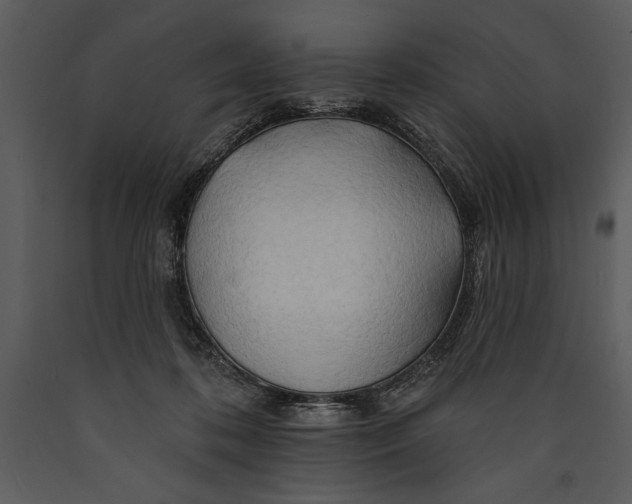 X0000089660316200707191654
