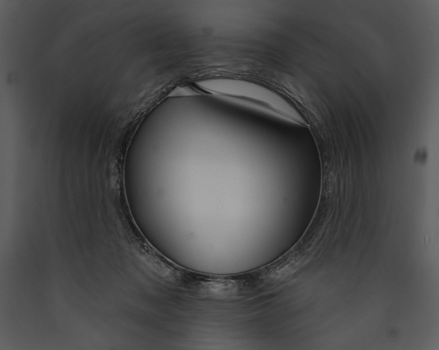 X0000089660317200707191654