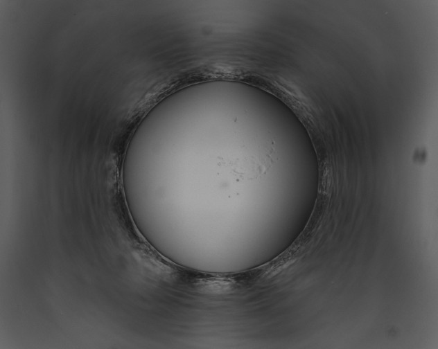X0000089660318200707191654