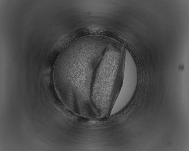 X0000089660319200707191654