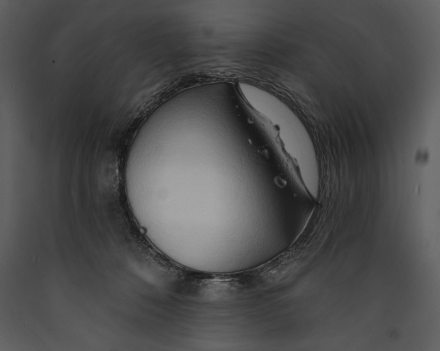 X0000089660320200707191654