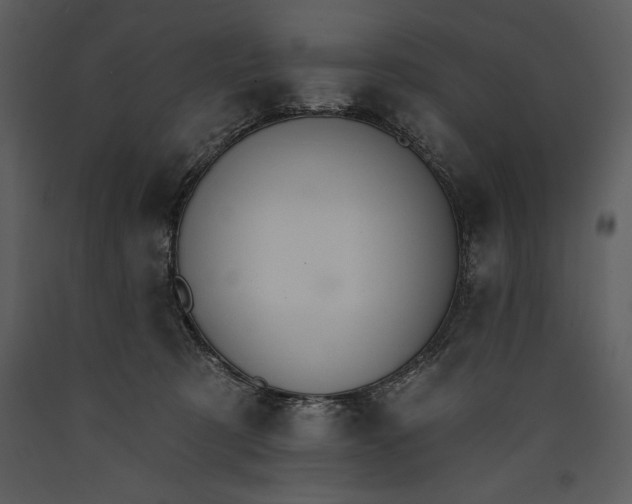 X0000089660321200707191654