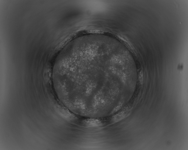 X0000089660322200707191654