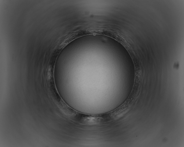 X0000089660323200707191654