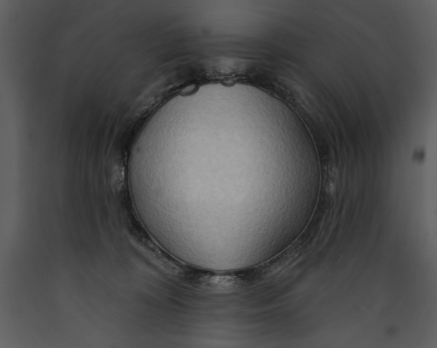 X0000089660324200707191654