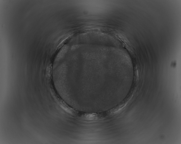 X0000089660325200707191654
