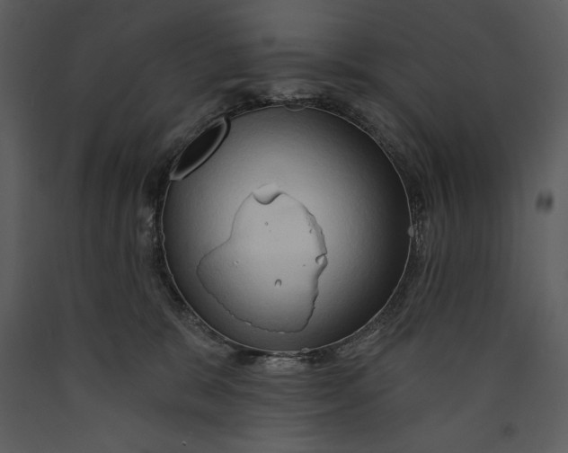 X0000089660327200707191654