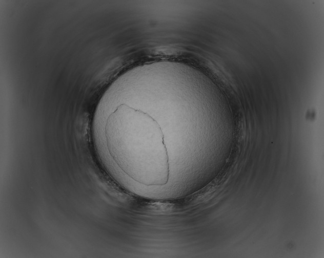 X0000089660328200707191654