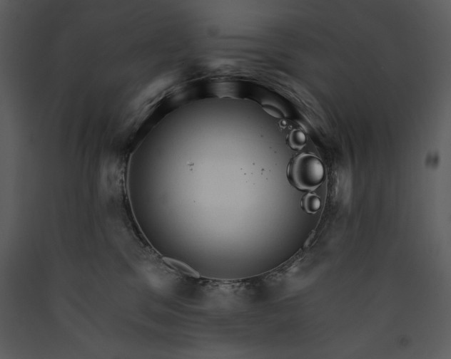 X0000089660329200707191654