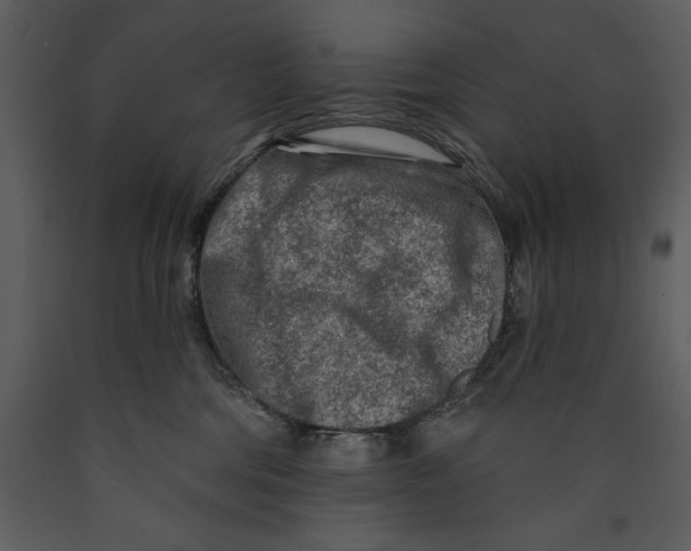 X0000089660330200707191654