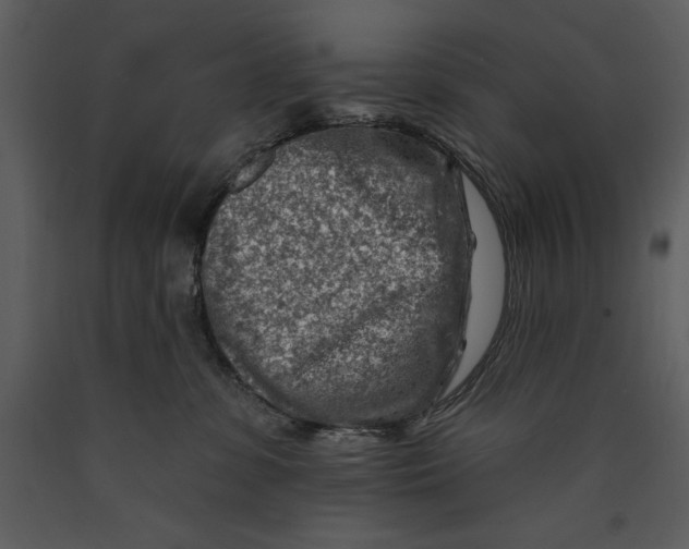 X0000089660331200707191654