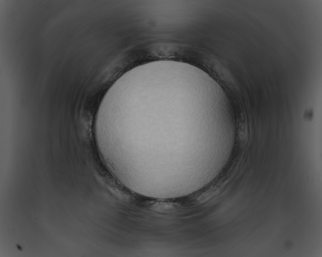 X0000089660332200707191654