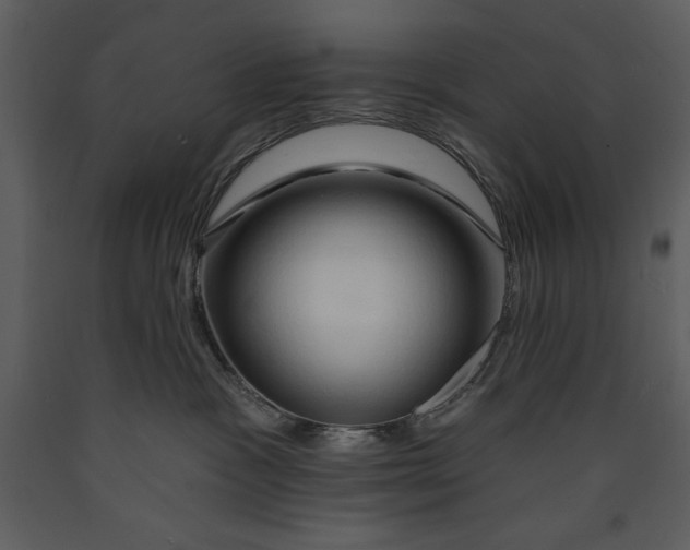 X0000089660333200707191654