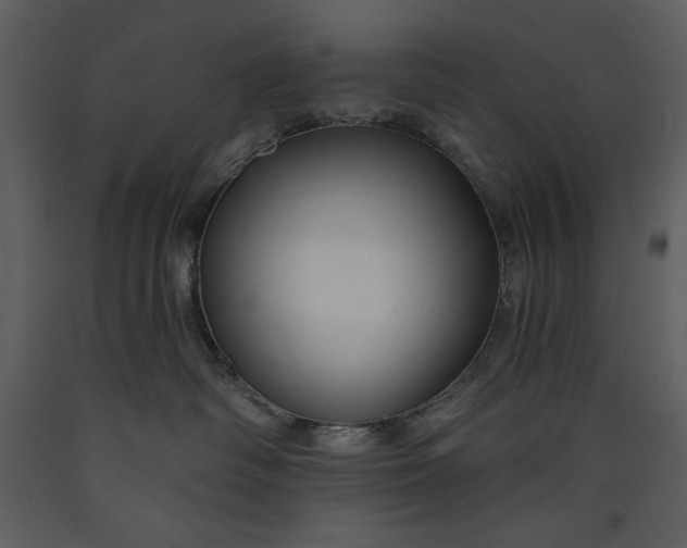 X0000089660334200707191654