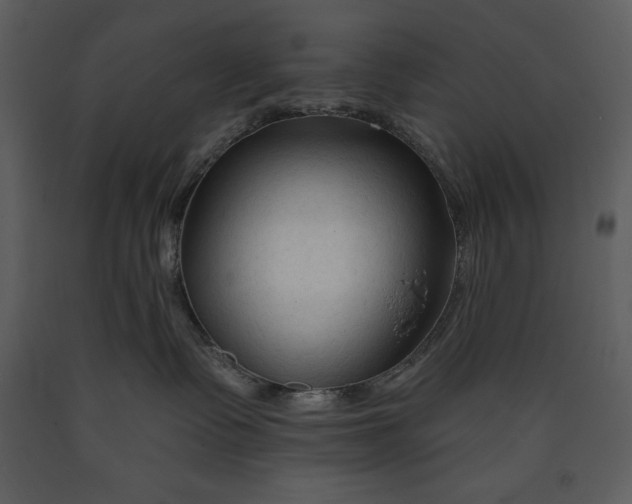 X0000089660335200707191654