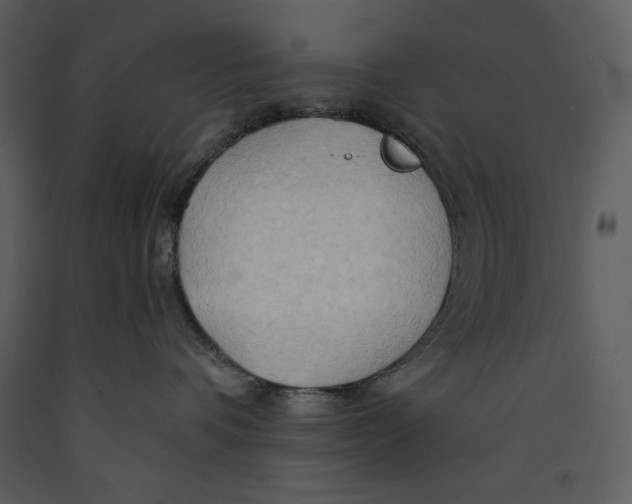 X0000089660336200707191654