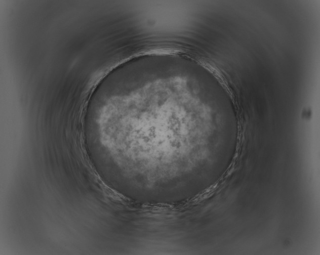 X0000089660337200707191653