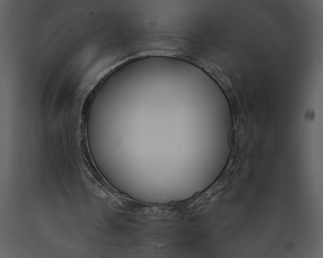 X0000089660338200707191653