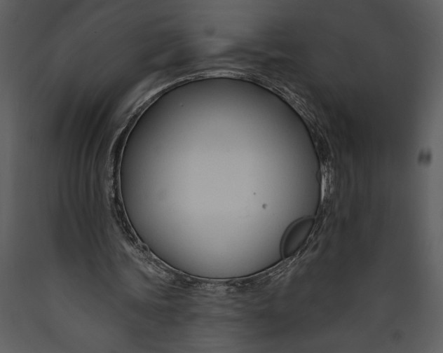 X0000089660339200707191653